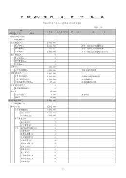 平 成 20 年 度 収 支 予 算 書