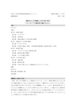 成果報告会レジュメ（事前提出分）