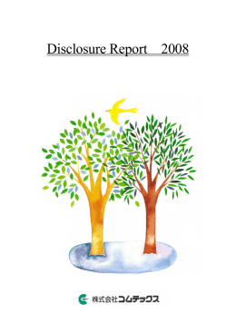 Disclosure Report 2008