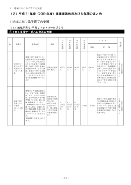 （2）平成 21 年度（2009 年度）事業実施状況及び 5 年間の