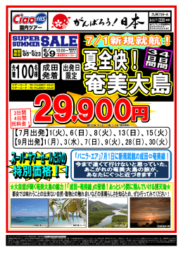 スーパーサマーセール 29900円 夏全快！奄美大島