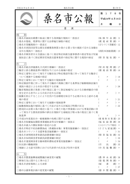 906KB pdfファイル