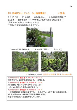 記事：B