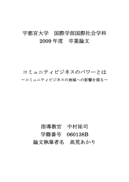 宇都宮大学 国際学部国際社会学科 2009 年度 卒業論文