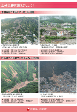 （一般向け）(PDF文書)