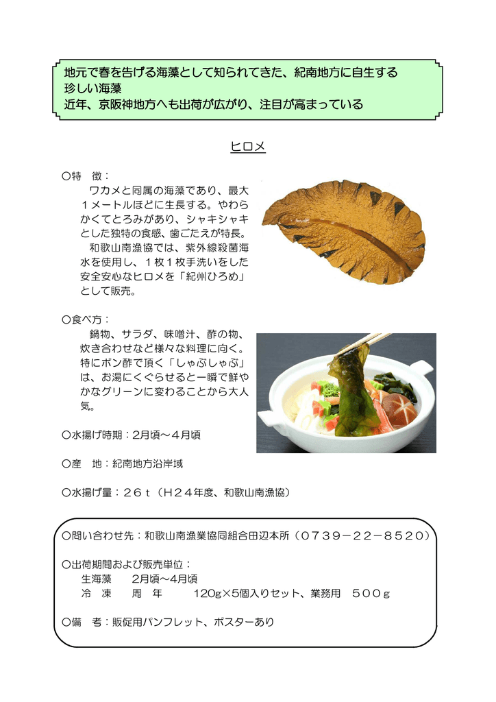 ヒロメ 地元で春を告げる海藻として知られてきた 紀南地方に自生する