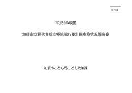 平成25年度実施状況報告書