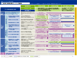 （別紙）P63～試行対象地域のロードマップ概略案