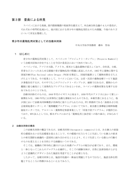 第3節 委員による所見 (PDF形式:424KB)