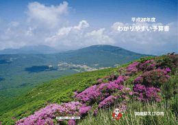 平成27年度わかりやすい予算書 (PDFファイル/8.17メガバイト)