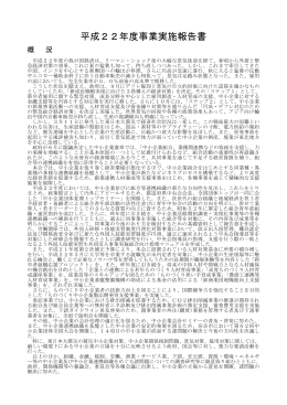 平成22年度事業実施報告書