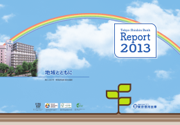 2013年版(平成25年3月期)