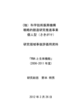 研究領域事後評価用資料（PDF：475KB）