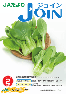 杵築事業部の紹介