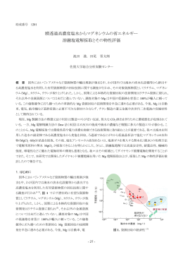 膜透過高濃度塩水からマグネシウムの省エネルギー 溶融塩電解採取と