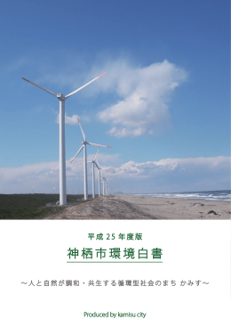 平成25年度神栖市環境白書