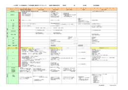 医療関係者用パス（PDF）