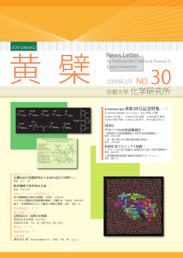第30号（2009年2月） - Institute for Chemical Research, Kyoto University