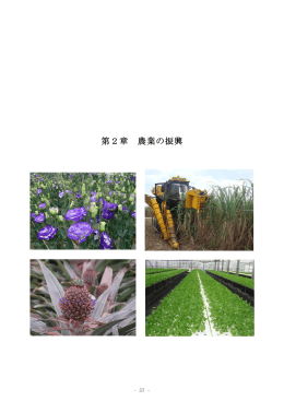 第2章 農業の振興 - 内閣府 沖縄総合事務局