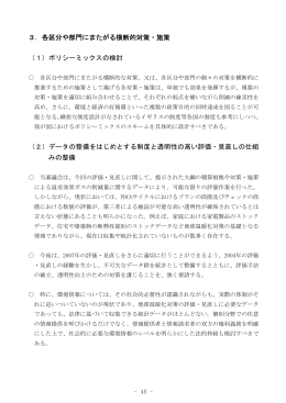 3．各区分や部門にまたがる横断的対策・施策 （1）ポリシーミックスの