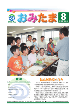 昆虫植物標本作り
