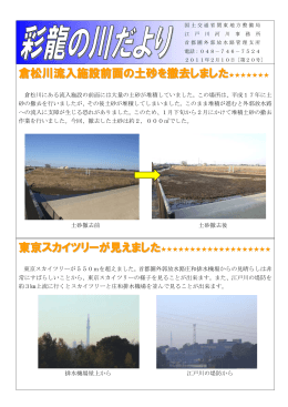 倉松川流入施設前面の土砂を撤去しました 東京スカイツリーが見えました