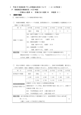 平成23年度改革プラン取組状況について