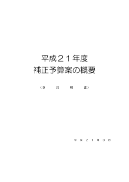 平成21年度 補正予算案の概要
