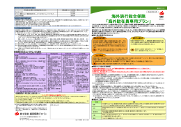 海外旅行総合保険 「海外駐在員専用プラン」
