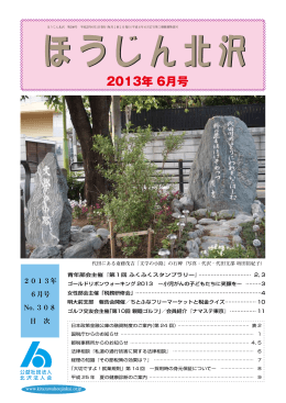 2013年 6月号