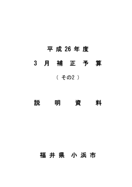 平成26年度 3月補正予算（その2）
