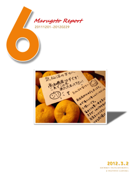 まるごと高知REPORT Vol.6 （pdfファイル/3.46MB）