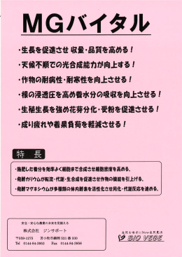 MGバイタルパンフレット