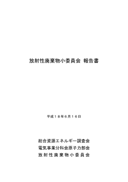 放射性廃棄物小委員会 報告書 (平成18年6月16日)