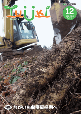 特集 ながいも収穫最盛期へ - JAゆうき青森（ゆうき青森農業協同組合）