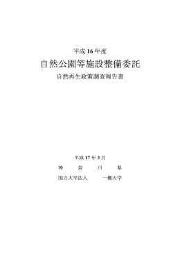 再生政策調査報告書（平成16年度）