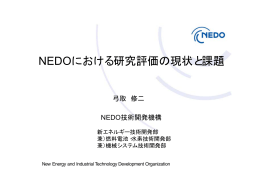 NEDOにおける研究評価の現状と課題