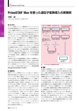 PrimeSTAR® Maxを使った遺伝子変異導入の実験例