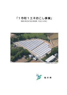 「1市町1エネおこし事業」