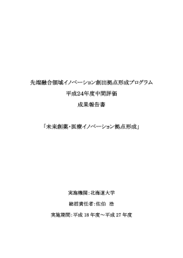 先端融合領域イノベーション創出拠点形成プログラム 平成13年度中間
