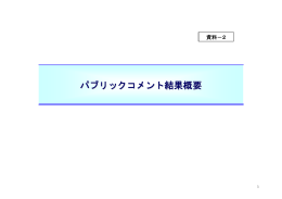 （6）パブリックコメント実施概要（資料－2）[PDF：528KB]