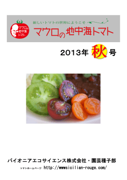 2013年 号