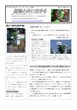 熊谷奨励金事業「かめの道で緑風に出会う」