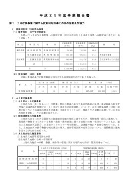 平成25年度事業報告書