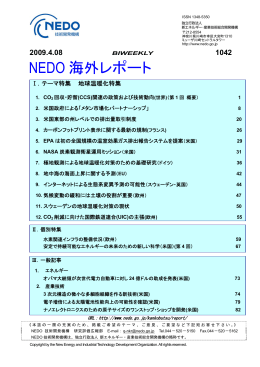 全文（1459KB） - 新エネルギー・産業技術総合開発機構