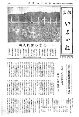 pdf "パンフレット"