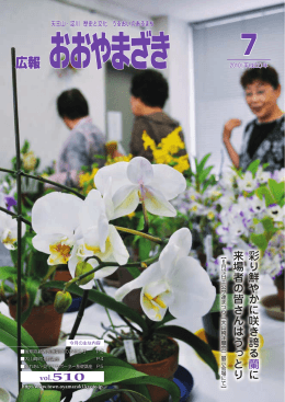 7 - 大山崎町
