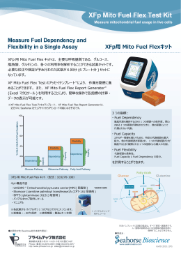 XFp用Mito Fuel Fluxキット簡易パンフレット