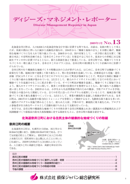 No.13 （2009年1月） - 損保ジャパン日本興亜総合研究所