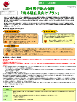 海外駐在員向けプラン